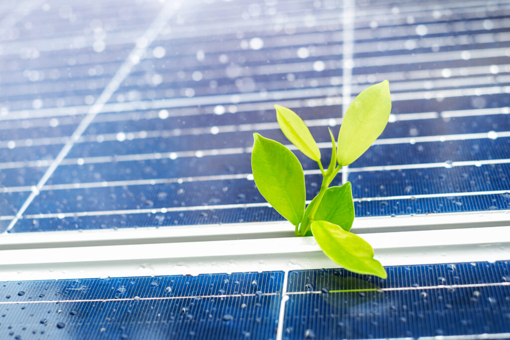 Modelos de Financiamento Coletivo (Crowdfunding) para Projetos de Energia Solar