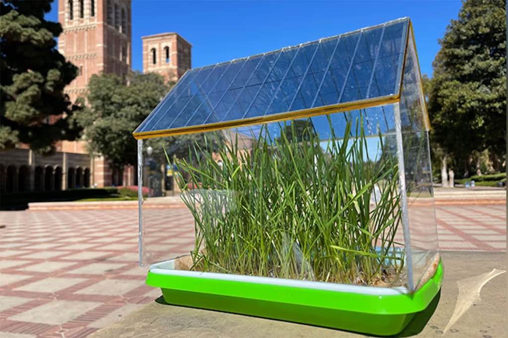 Energia Solar para Estufas